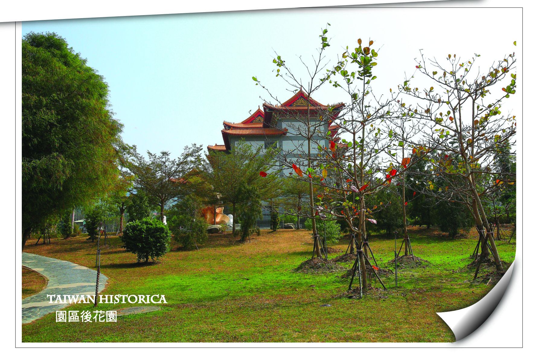 圖八園區後花園