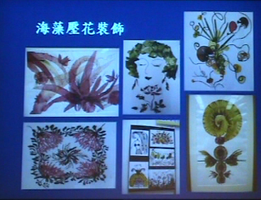 以藻類製作壓花