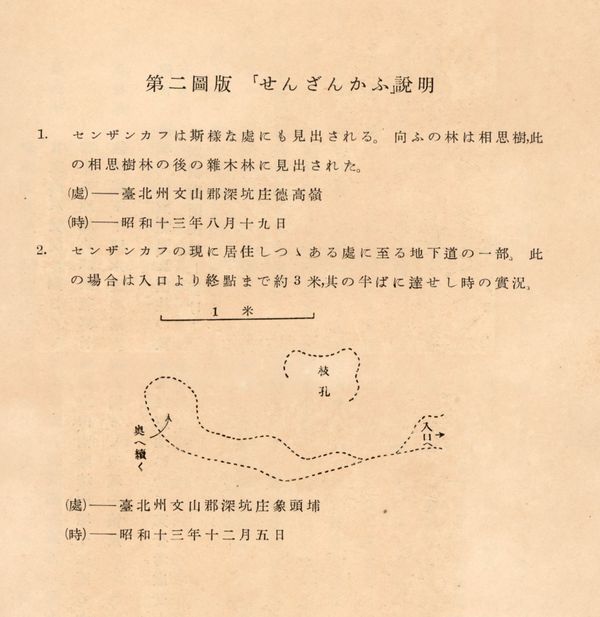 圖六　穿山甲的模擬洞穴圖