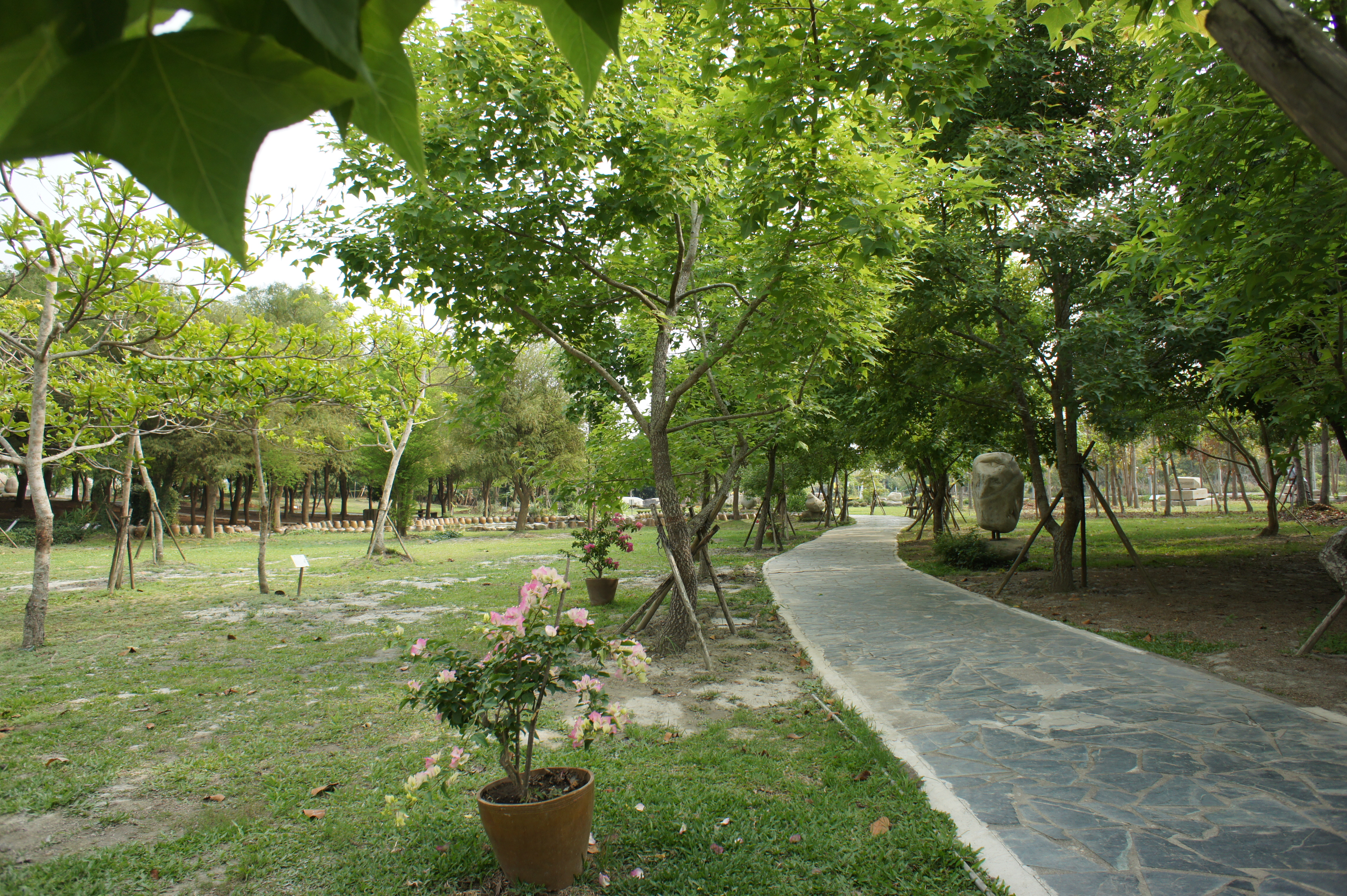 「臺灣文獻步道」之一景